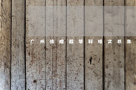 广州法院超华科技文书朱正峰