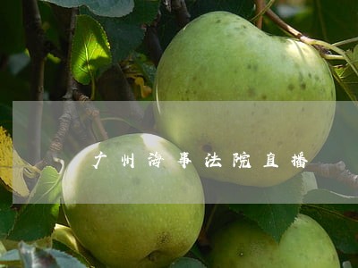 广州海事法院直播 广州海事法院直播