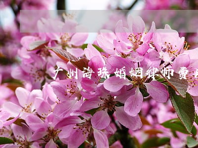 广州海珠婚姻律师费用 广州海珠婚姻律师费用