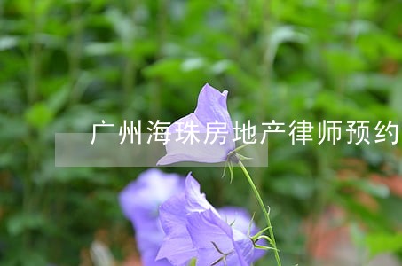 广州海珠房地产律师预约