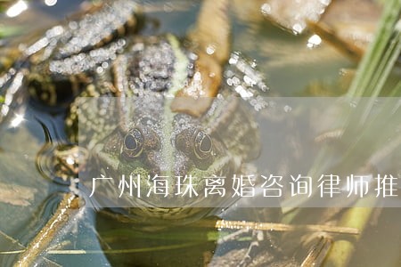 广州海珠离婚咨询律师推荐 广州海珠离婚咨询律师推荐