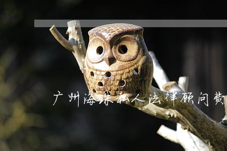 广州海珠私人法律顾问费 广州海珠私人法律顾问费
