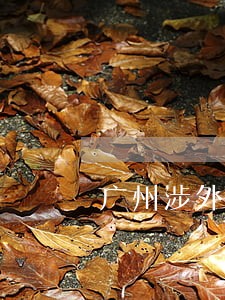 广州涉外债权债务律师推荐 广州涉外债权债务律师推荐