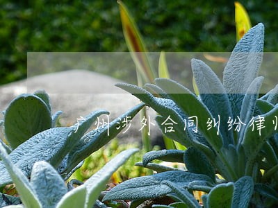 广州涉外合同纠纷律师 广州涉外合同纠纷律师