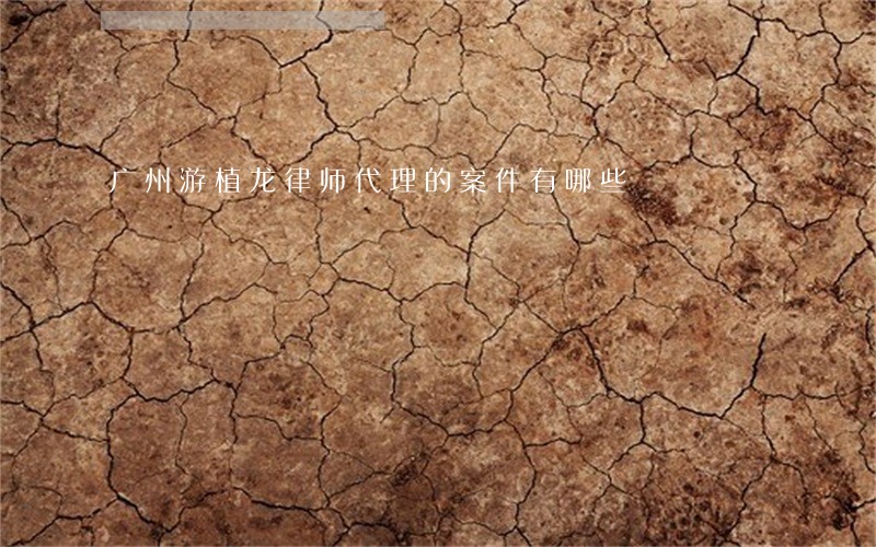 广州游植龙律师代理的案件有哪些