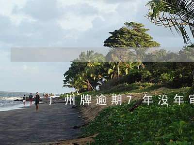广州牌逾期7年没年审 广州牌逾期7年没年审