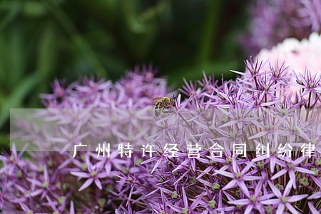 广州特许经营合同纠纷律师收费