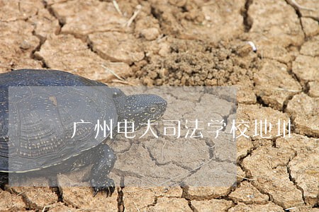 广州电大司法学校地址 广州电大司法学校地址