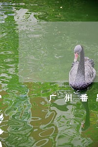广州番禺债务专业律师多少钱 广州番禺债务专业律师多少钱