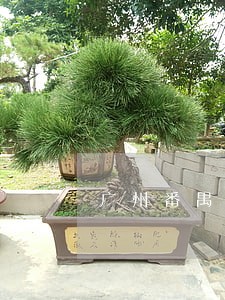 广州番禺区债务执行律师如何收费 广州番禺区债务执行律师如何收费