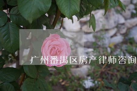广州番禺区房产律师咨询 广州番禺区房产律师咨询
