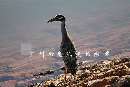 广州番禺法院的微博 广州番禺法院的微博