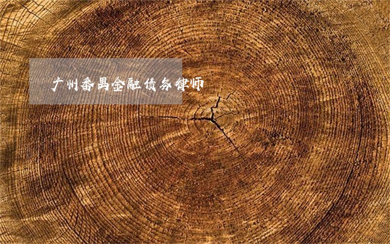 广州番禺金融债务律师 广州番禺金融债务律师
