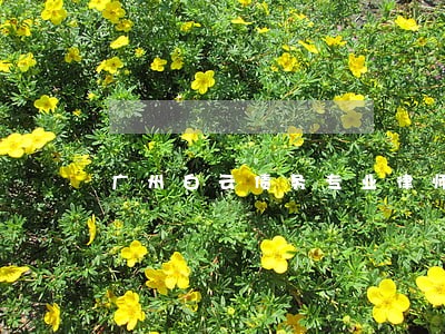 广州白云债务专业律师在线咨询 广州白云债务专业律师在线咨询
