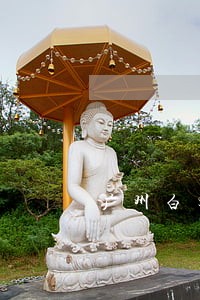广州白云债务专业律师风险代理 广州白云债务专业律师风险代理
