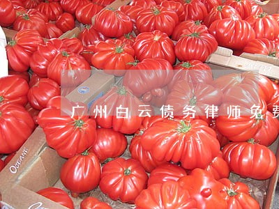 广州白云债务律师免费咨询 广州白云债务律师免费咨询