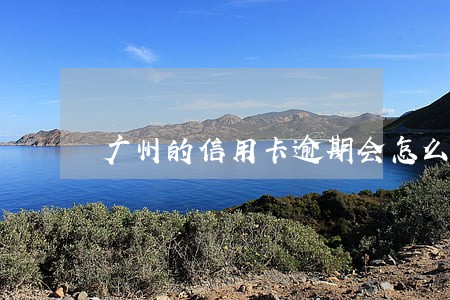 广州的信用卡逾期会怎么样 广州的信用卡逾期会怎么样