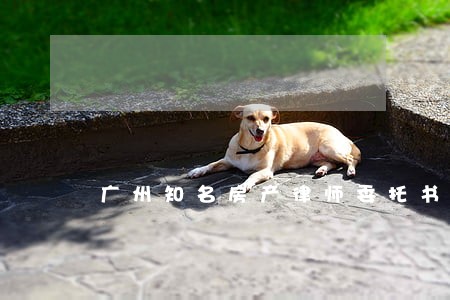 广州知名房产律师委托书 广州知名房产律师委托书