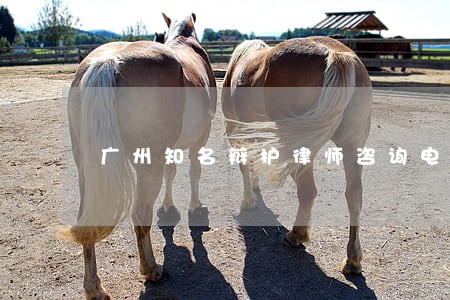 广州知名辩护律师咨询电话 广州知名辩护律师咨询电话