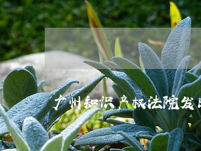 广州知识产权法院发出限制令