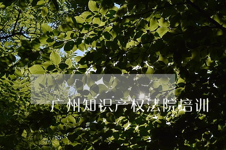 广州知识产权法院培训 广州知识产权法院培训