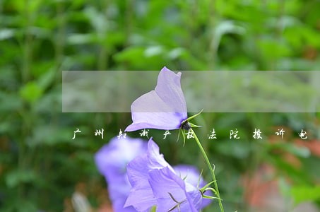 广州知识产权法院投诉电话 广州知识产权法院投诉电话