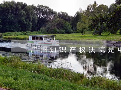 广州知识产权法院是中级法院嘛 广州知识产权法院是中级法院嘛