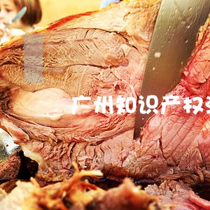 广州知识产权法院立案律师地址 广州知识产权法院立案律师地址