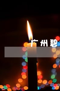 广州碧文法律顾问有限公司 广州碧文法律顾问有限公司