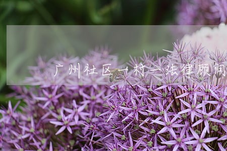 广州社区一村一法律顾问口号 广州社区一村一法律顾问口号