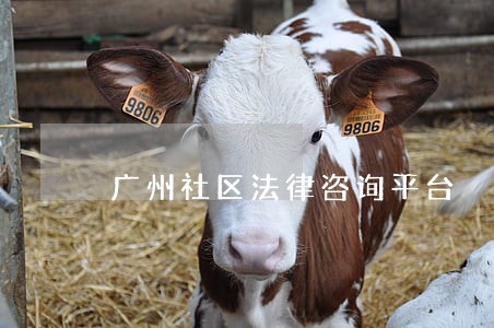 广州社区法律咨询平台 广州社区法律咨询平台