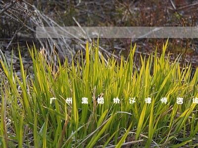广州离婚协议律师咨询 广州离婚协议律师咨询