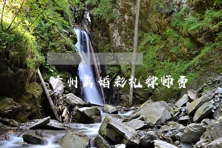 广州离婚彩礼律师费 广州离婚彩礼律师费