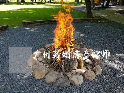 广州离婚房产律师 广州离婚房产律师