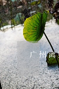广州离婚抚养权律师 广州离婚抚养权律师