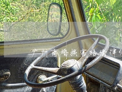 广州离婚损害赔偿律师微信咨询 广州离婚损害赔偿律师微信咨询
