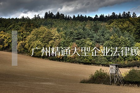 广州精通大型企业法律顾问 广州精通大型企业法律顾问