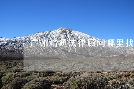 广州精通法律顾问哪里找 广州精通法律顾问哪里找
