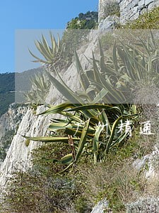 广州精通离婚官司律师电话咨询 广州精通离婚官司律师电话咨询