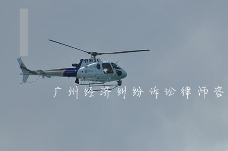 广州经济纠纷诉讼律师咨询 广州经济纠纷诉讼律师咨询