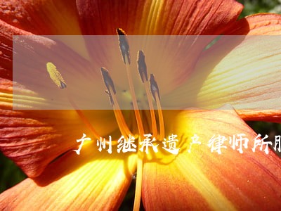 广州继承遗产律师所服务