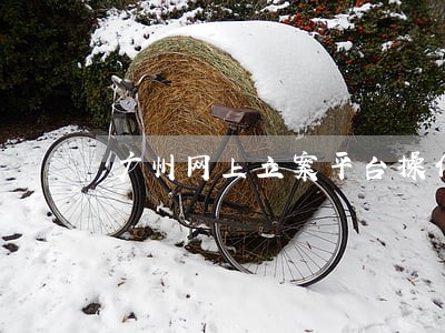 广州网上立案平台操作指引