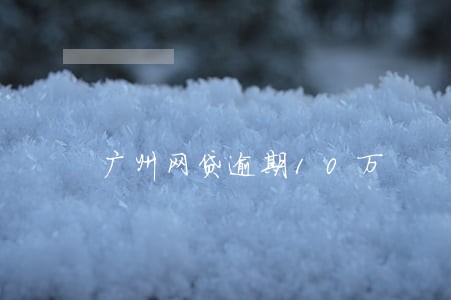 广州网贷逾期10万 广州网贷逾期10万