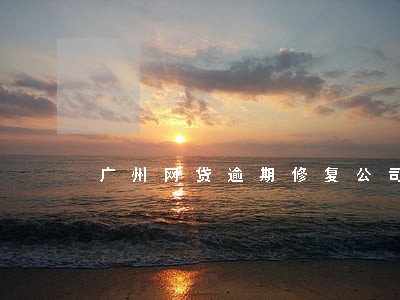 广州网贷逾期修复公司 广州网贷逾期修复公司
