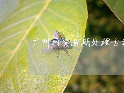广州网贷逾期处理方案 广州网贷逾期处理方案