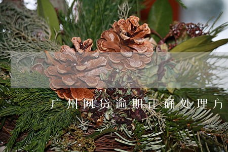 广州网贷逾期正确处理方案 广州网贷逾期正确处理方案