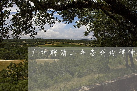 广州聘请二手房纠纷律师团队