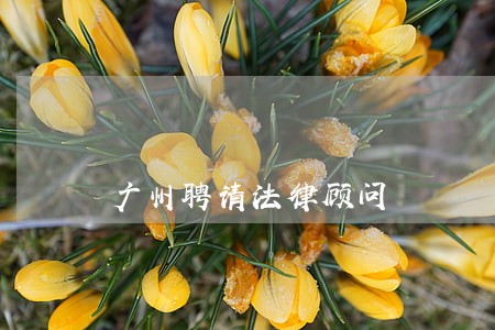 广州聘请法律顾问 广州聘请法律顾问