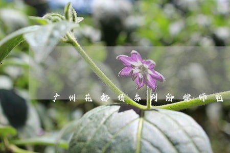 广州花都债务纠纷律师电话咨询 广州花都债务纠纷律师电话咨询