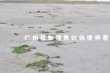 广州花都债务纠纷律师费用 广州花都债务纠纷律师费用